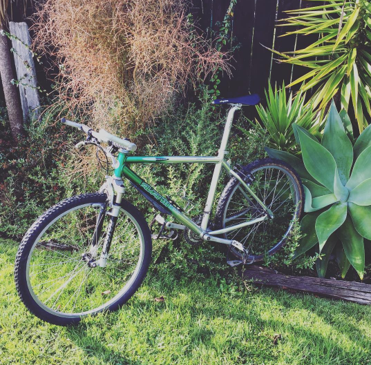 avanti 24 inch mountain bike