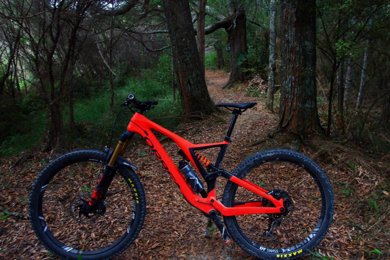 Orbea rallon r5 discount 2019