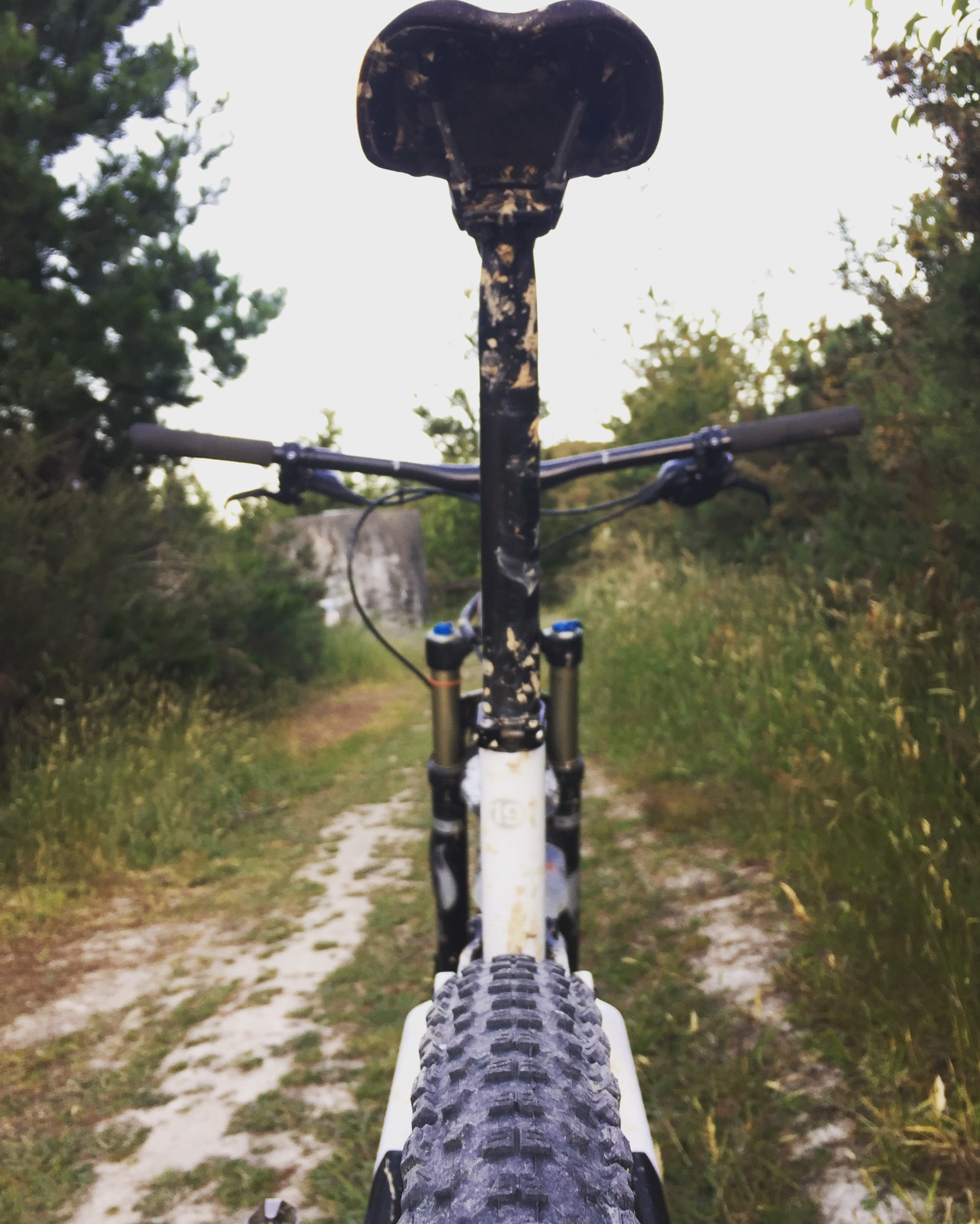 Finding the wholly Trail