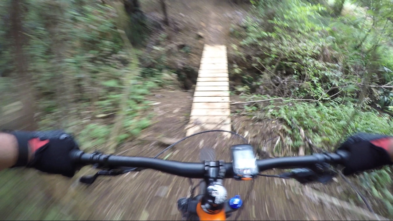 Glenbervie Forest Whangarei - Ride Review
