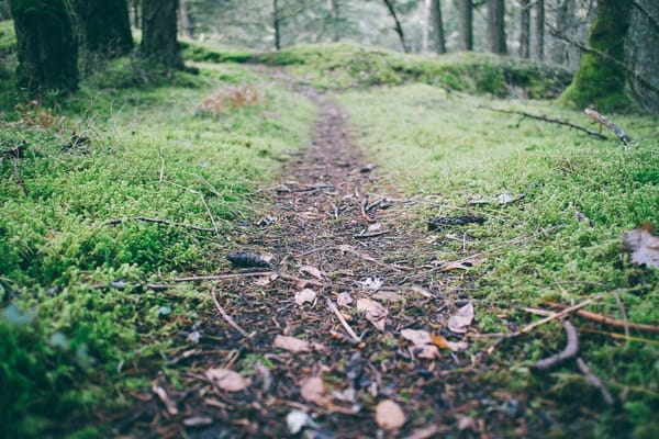 Trail Builder Diaries: Why do we build?