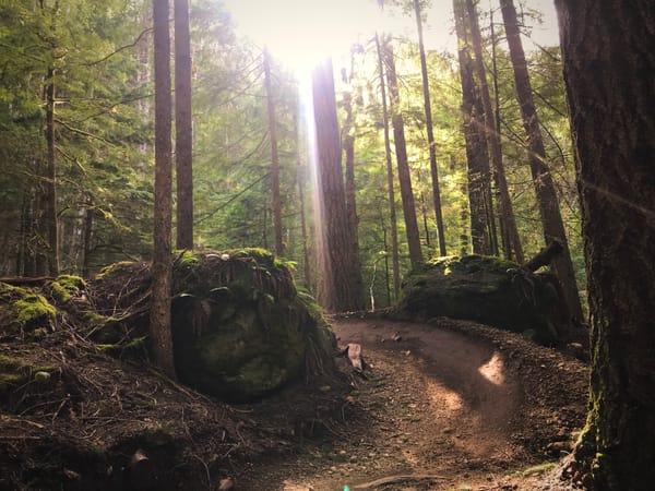 Trail Builder Diaries - Round 1